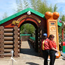 Slinky Dog Zigzag Spin