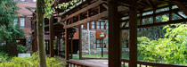 Disney's Sequoia Lodge